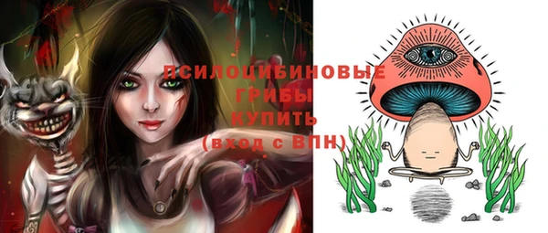 спайс Надым