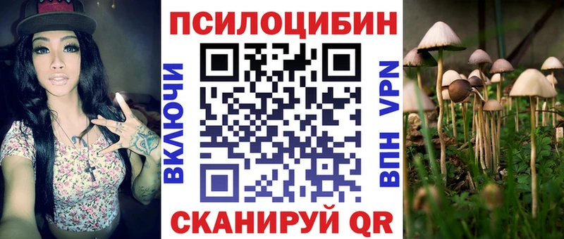 Псилоцибиновые грибы мухоморы  гидра ТОР  Ростов-на-Дону  закладка 